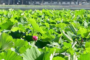 女篮新星王芙蕖晒近照：祝大家新年快乐？